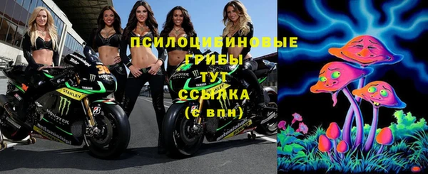 спиды Заволжье