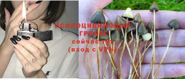 спиды Заволжье